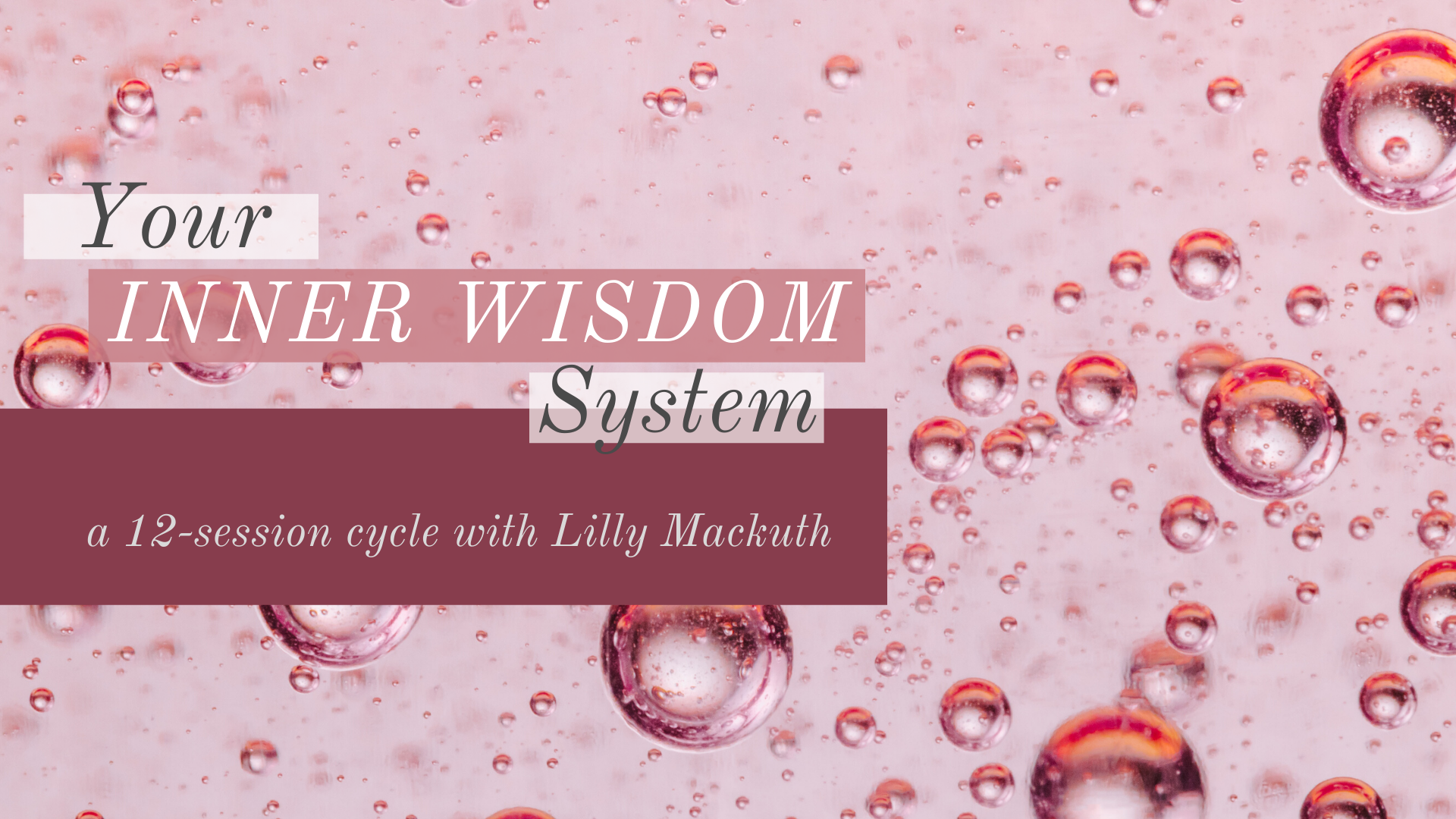 Your Inner Wisdom System Header v2